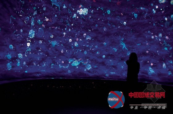 亚洲设计管理论坛系列专题:展览体验设计让空间说话—对话荷兰北极光设计公司