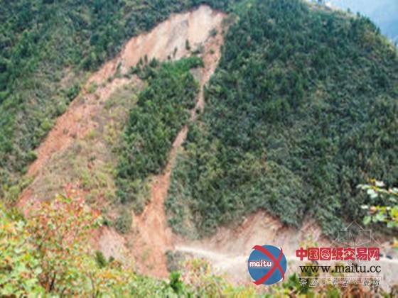 柞水突发山体滑坡 4人被埋