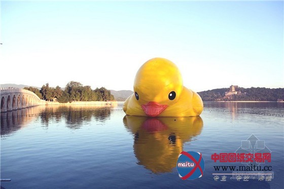 大黄鸭颐和园首秀 “低头畅饮”昆明湖