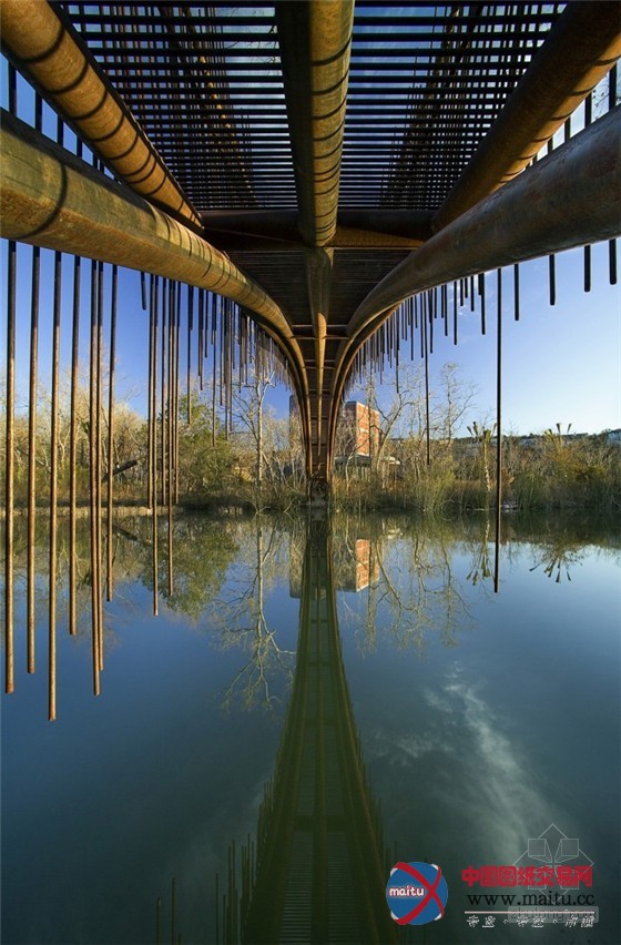 Miró Rivera Architects设计的人行天桥