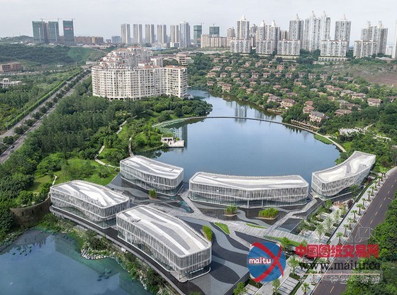 HASSELL设计的环绕棕榈岛水庭院