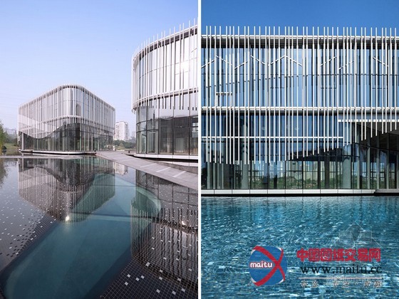 HASSELL设计的环绕棕榈岛水庭院