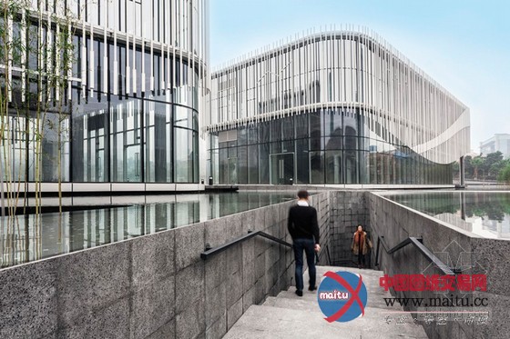 HASSELL设计的环绕棕榈岛水庭院