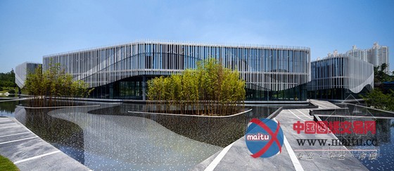 HASSELL设计的环绕棕榈岛水庭院