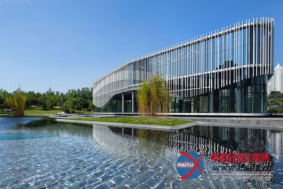 HASSELL设计的环绕棕榈岛水庭院