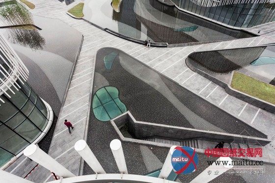 HASSELL设计的环绕棕榈岛水庭院