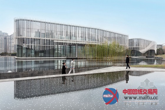 HASSELL设计的环绕棕榈岛水庭院