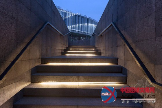 HASSELL设计的环绕棕榈岛水庭院