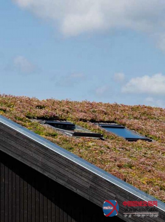 丹麦零碳可持续莱恩斯太阳堡幼儿园