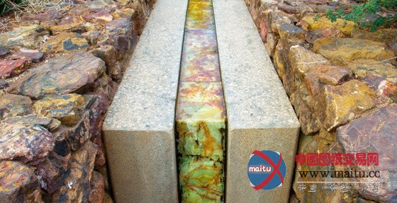 美国凤凰城沙漠植物园入口景观