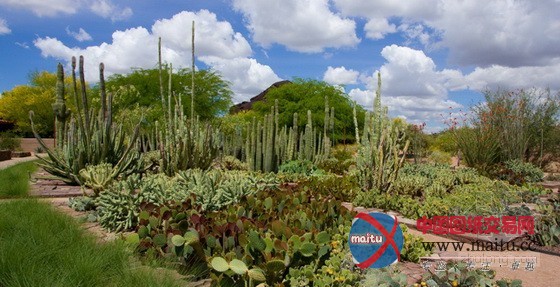 美国凤凰城沙漠植物园入口景观