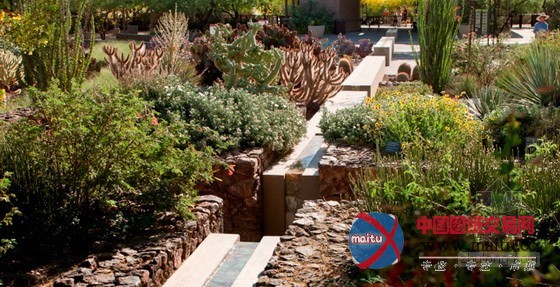 美国凤凰城沙漠植物园入口景观