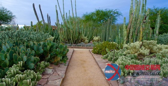 美国凤凰城沙漠植物园入口景观