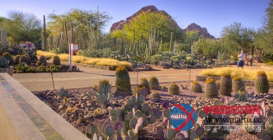 美国凤凰城沙漠植物园入口景观