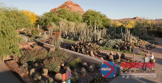 美国凤凰城沙漠植物园入口景观