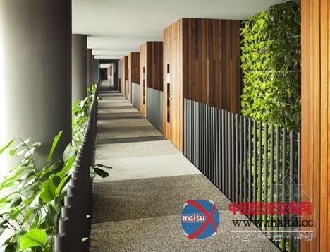 WOHA设计的新加坡皇家公园上的皮克林酒店