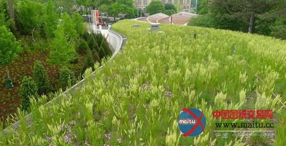 HMWhite设计的纽约布鲁克林植物园游客中心