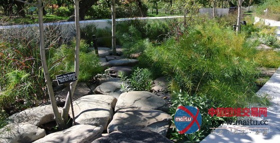 HMWhite设计的纽约布鲁克林植物园游客中心