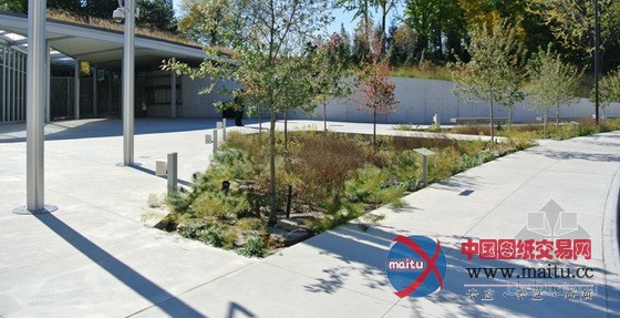 HMWhite设计的纽约布鲁克林植物园游客中心