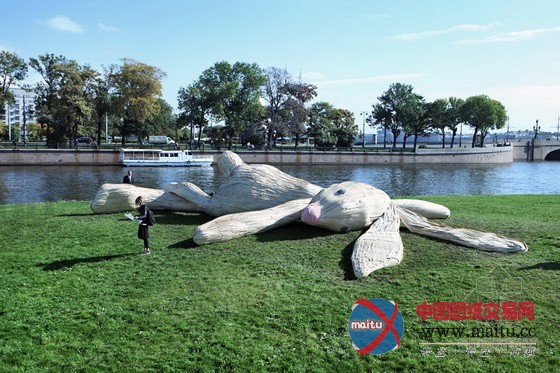 俄罗斯圣彼得堡要塞外的阳光浴大野兔