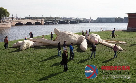 俄罗斯圣彼得堡要塞外的阳光浴大野兔