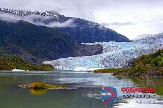 阿拉斯加冰川融化 千年森林重见天日