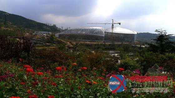 青岛世园会场馆基本完工 试运营进入倒计时