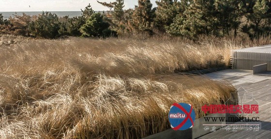 美国纽约萨加波纳克镇Sagaponack农场小屋