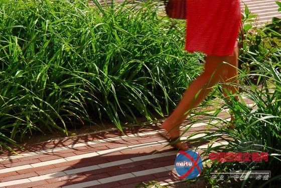 oéà?°¢?·?1ì?μ¤′ó?§RoeterseilandD£?°