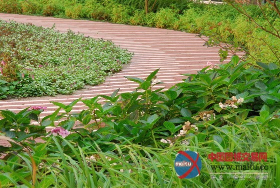 oéà?°¢?·?1ì?μ¤′ó?§RoeterseilandD£?°