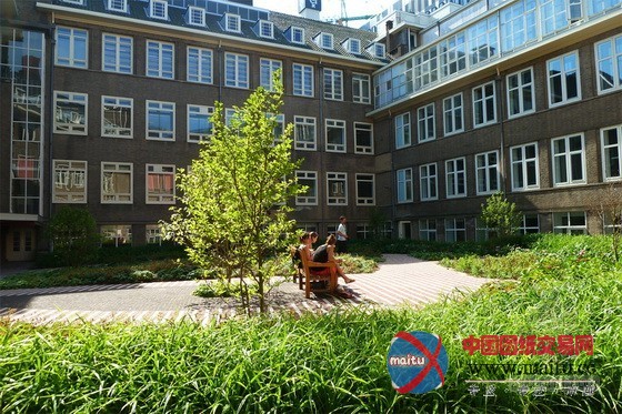 oéà?°¢?·?1ì?μ¤′ó?§RoeterseilandD£?°