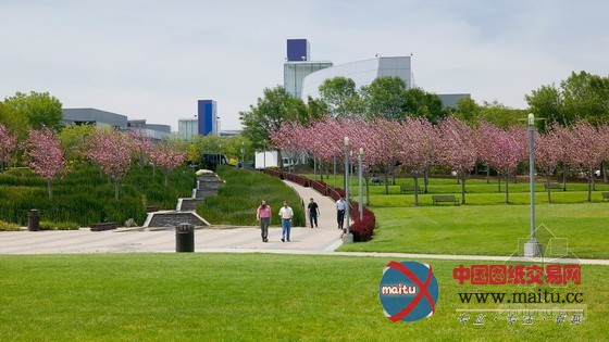 SWA设计的美国加利福尼亚州Charleston公园