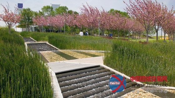 SWA设计的美国加利福尼亚州Charleston公园