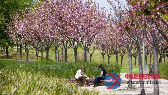 SWA设计的美国加利福尼亚州Charleston公园