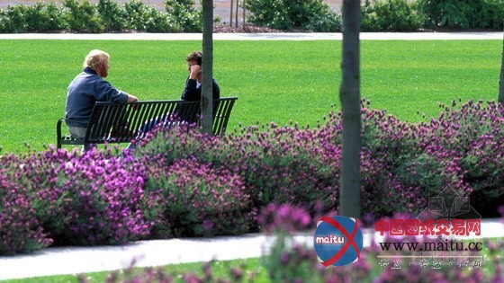 SWA设计的美国加利福尼亚州Charleston公园