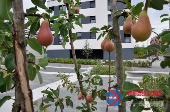 ??é-±¤?ìì?é?Gr¨1newald Kirchberg1??°