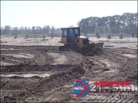 山推SD10YS推土机作业状态稳定高效获赞誉