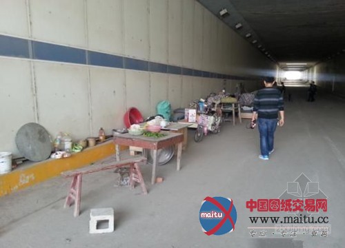 南京斥资5000万元建隧道荒废8年成摆设