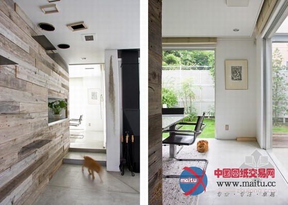 最友善的居住空间 日本大阪爱猫之家