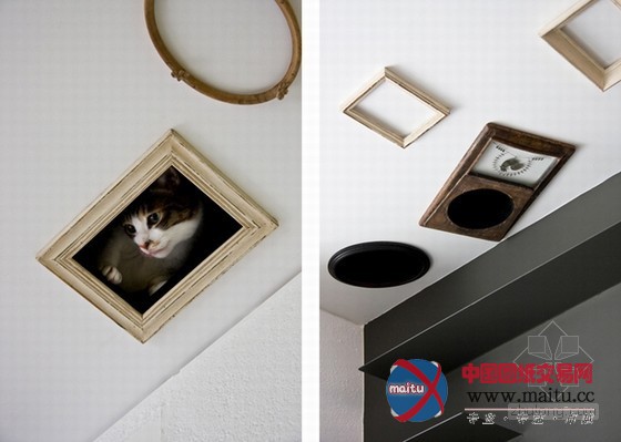 最友善的居住空间 日本大阪爱猫之家