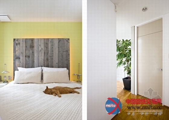 最友善的居住空间 日本大阪爱猫之家