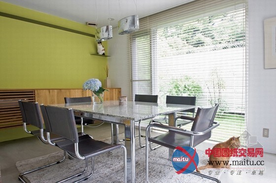 最友善的居住空间 日本大阪爱猫之家