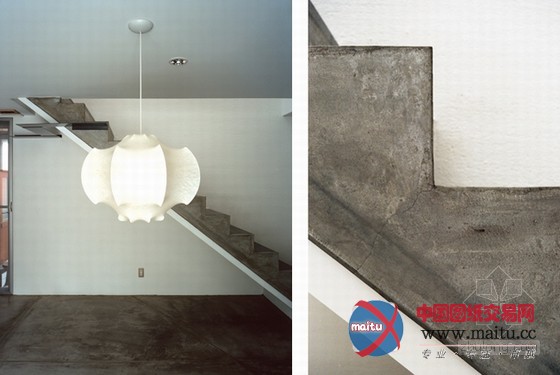 最友善的居住空间 日本大阪爱猫之家