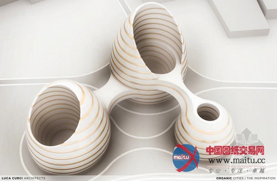 Luca Curci设计的阿拉伯联合酋长国亮马河大厦