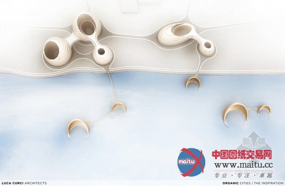 Luca Curci设计的阿拉伯联合酋长国亮马河大厦