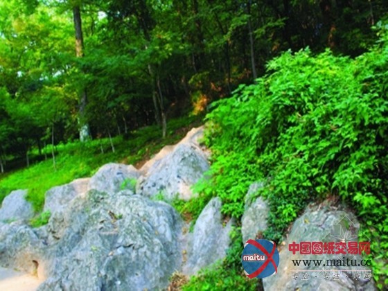 轻轻一敲 石头飘出臭鸡蛋味