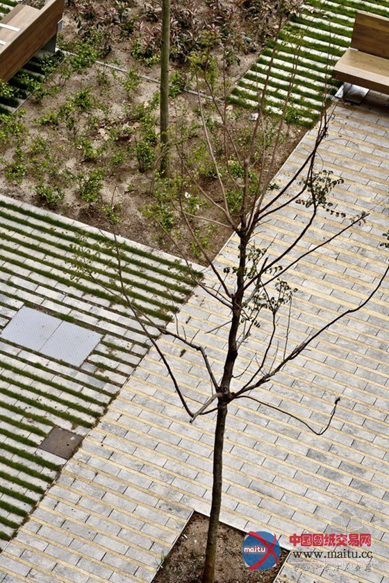 西班牙巴塞罗纳Passeig de St Joan大道改建