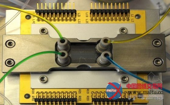 IBM研制“大脑型电脑” 电解液充当血液供电降温