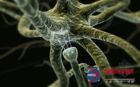 IBM研制“大脑型电脑” 电解液充当血液供电降温