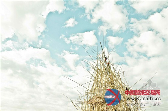 意大利罗马国家电力公司当代艺术Big Bambú(大竹)